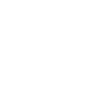 Chat GPT, Google Gemini, Google AI, Perplexity AI, Anthropic Claude, DeepSeek